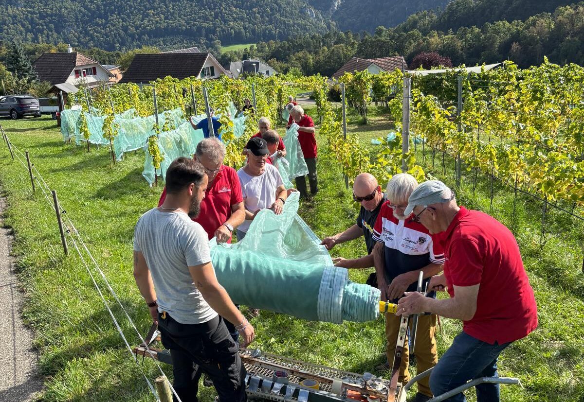 Bilder der Ernte 2025